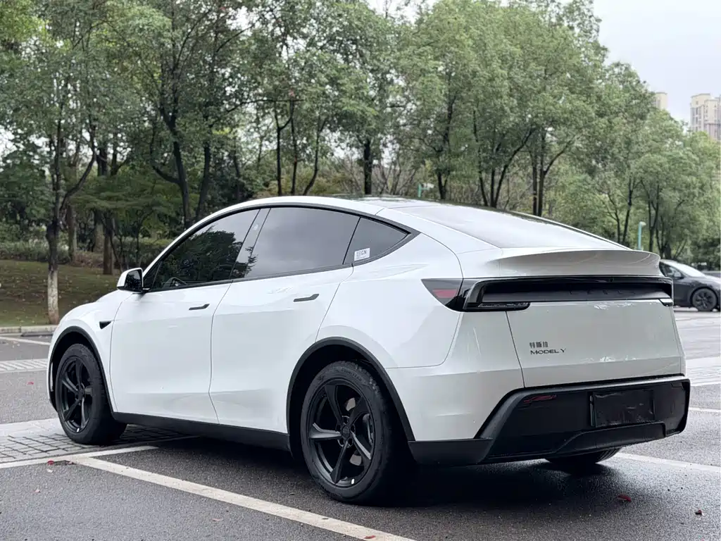 Tesla Model Y — миниатюра 19