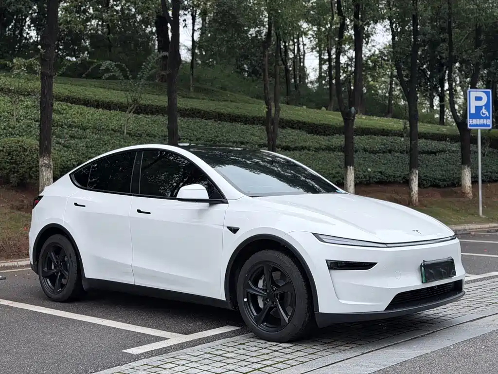 Tesla Model Y — миниатюра 3
