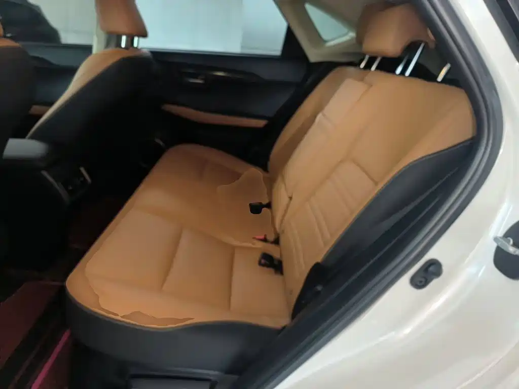 Lexus NX — миниатюра 17