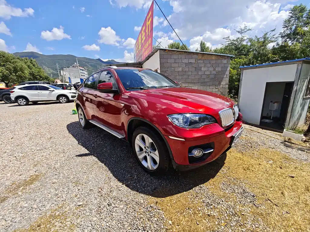 BMW X6 — миниатюра 8