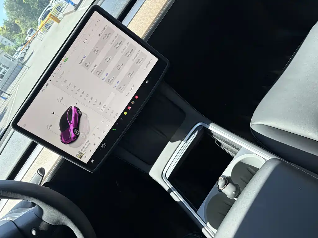 Tesla Model Y — миниатюра 12