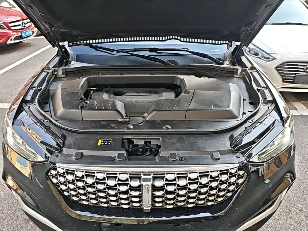 Wey Wey VV6 — миниатюра 20