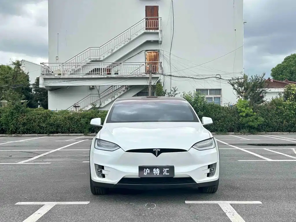 Tesla Model X — миниатюра 17