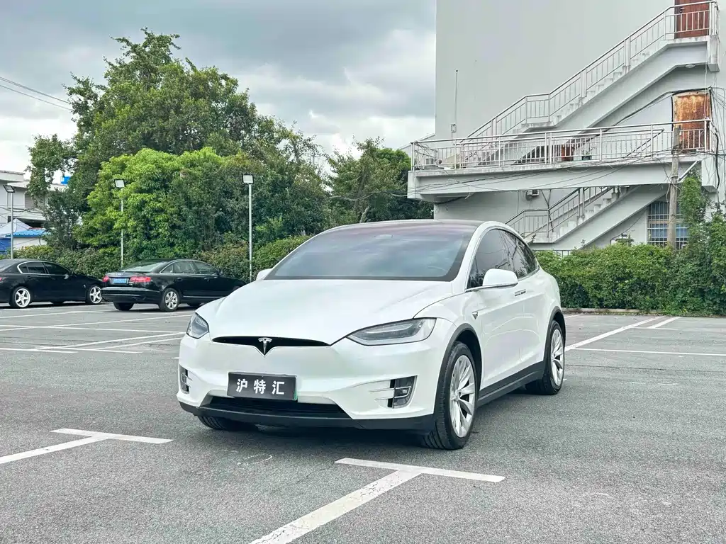 Tesla Model X — миниатюра 18