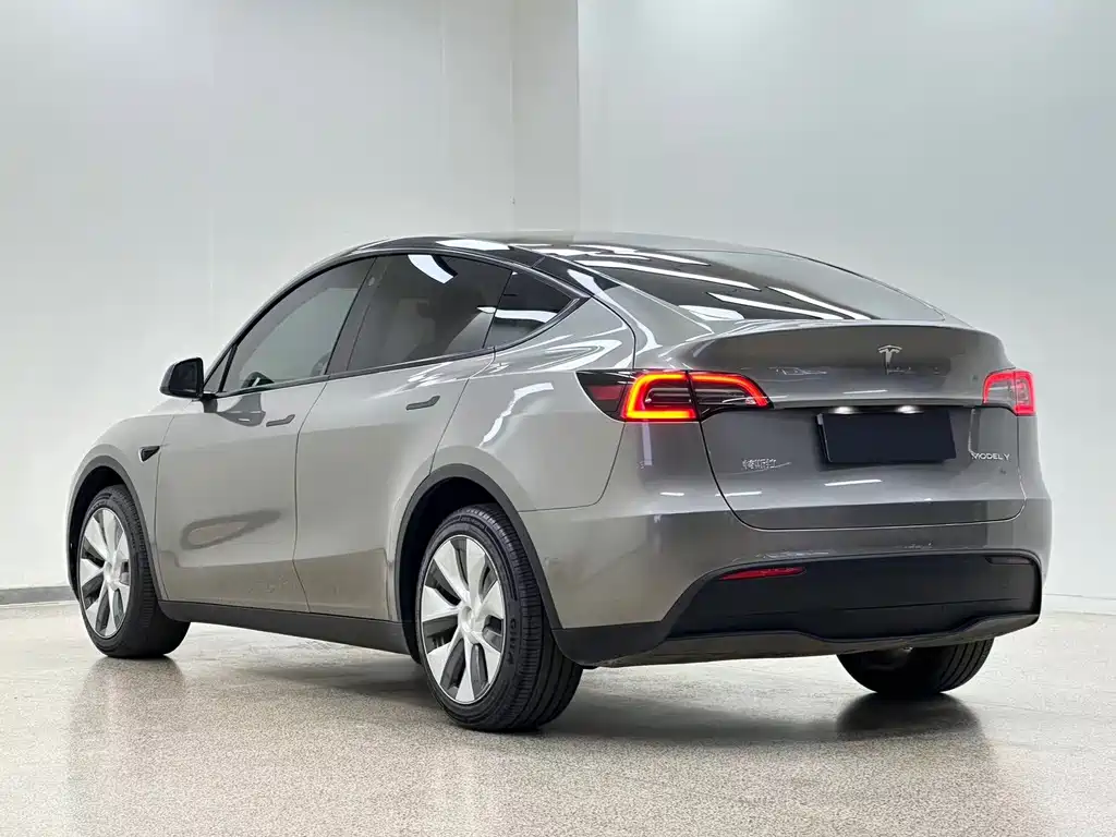 Tesla Model Y 2023 — фото 6