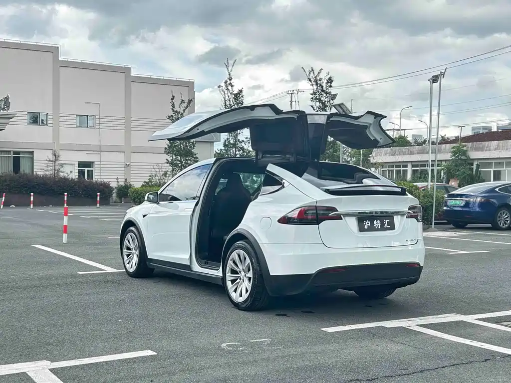 Tesla Model X — миниатюра 5