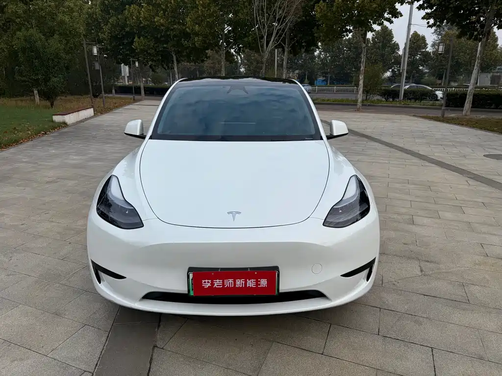 Tesla Model Y 2024 — фото 2