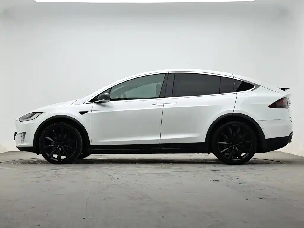 Tesla Model X — миниатюра 5