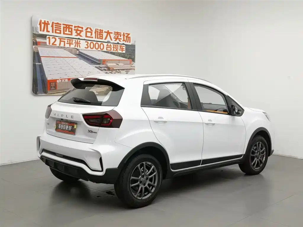 Rayleigh Ruilan X3 PRO — миниатюра 2