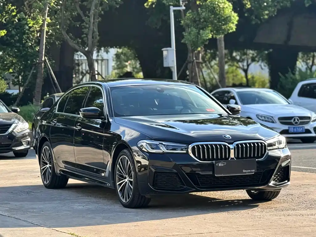 BMW 5 Series — миниатюра 3
