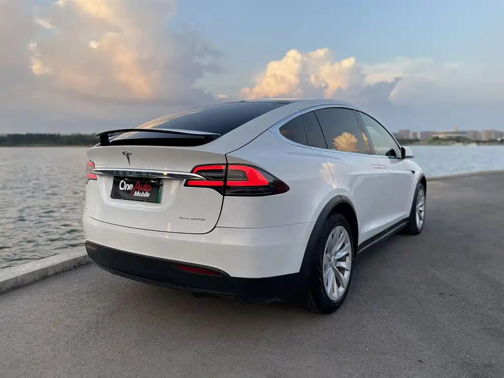 Tesla Model X — миниатюра 9