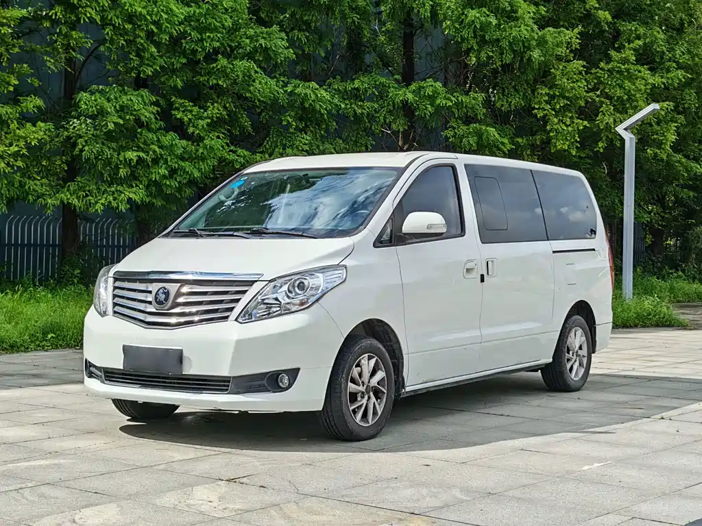 Fengxing Lingzhi PLUS