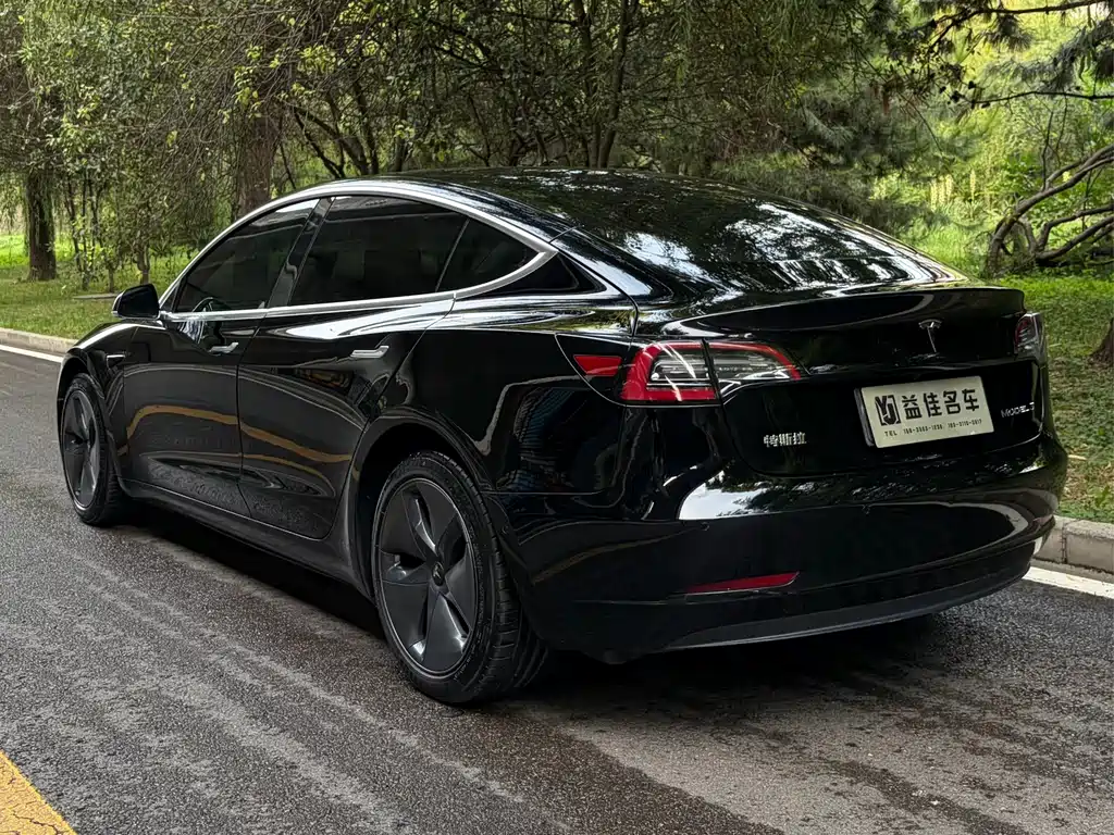 Tesla Model 3 — миниатюра 4