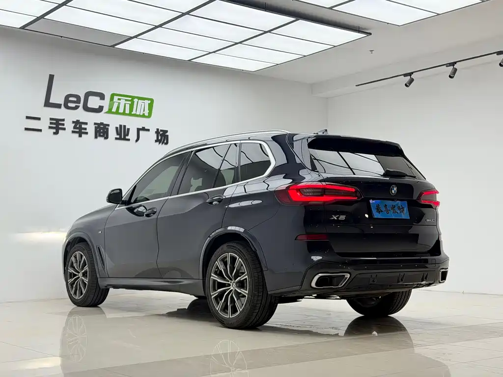 BMW X5 (Import) — миниатюра 12