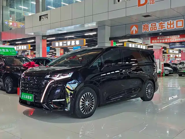 2023 Denza D9