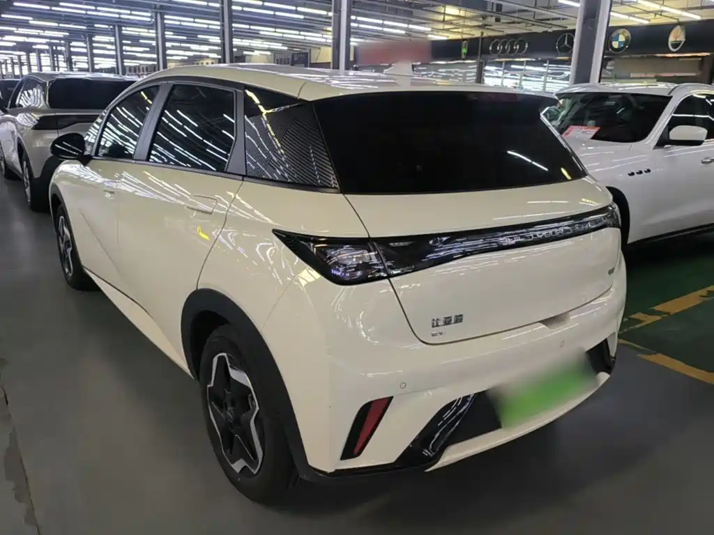 BYD Dolphin — миниатюра 5