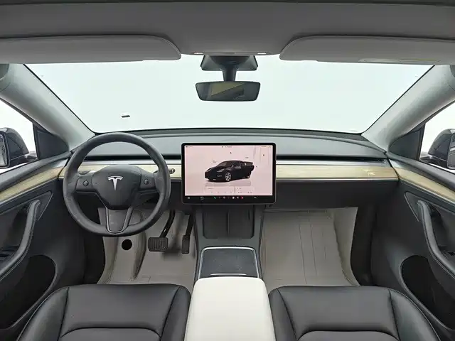 Tesla Model Y — миниатюра 5
