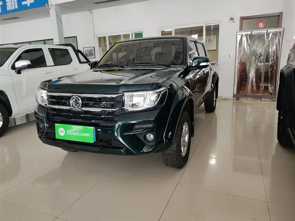 Dongfeng Rich 2024