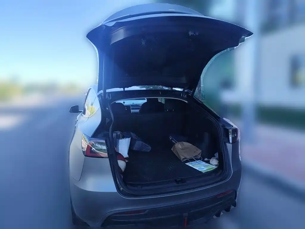 Tesla Model Y — миниатюра 20