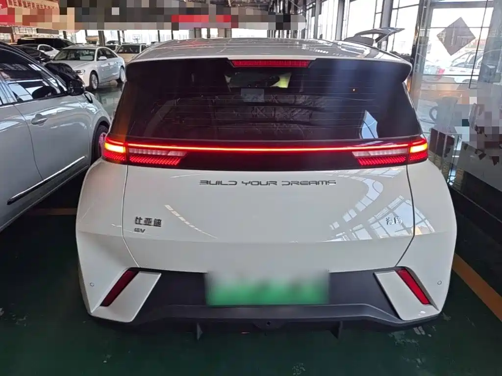 BYD Seagull 2024 305km