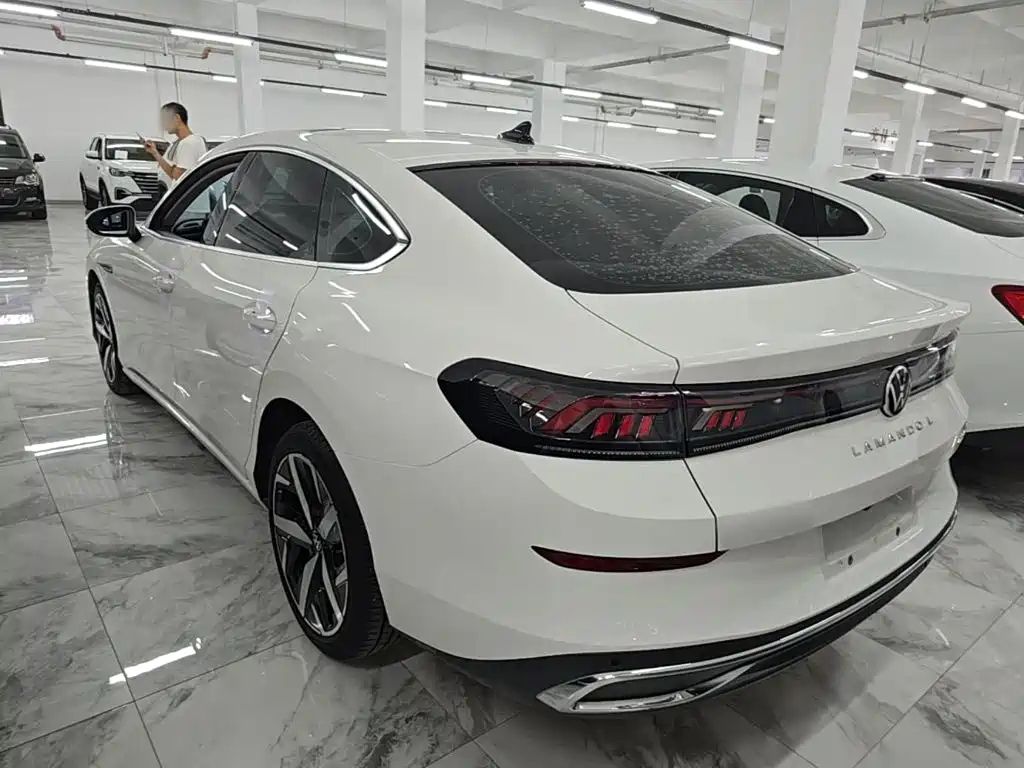 Volkswagen Lamando — миниатюра 5