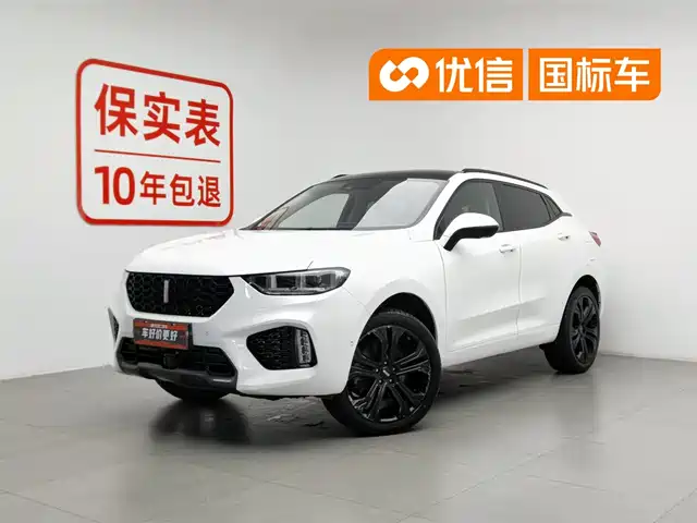 2019 Wey VV5
