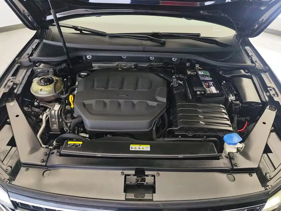 Volkswagen Magotan 2023 200 330TSI DSG Lead