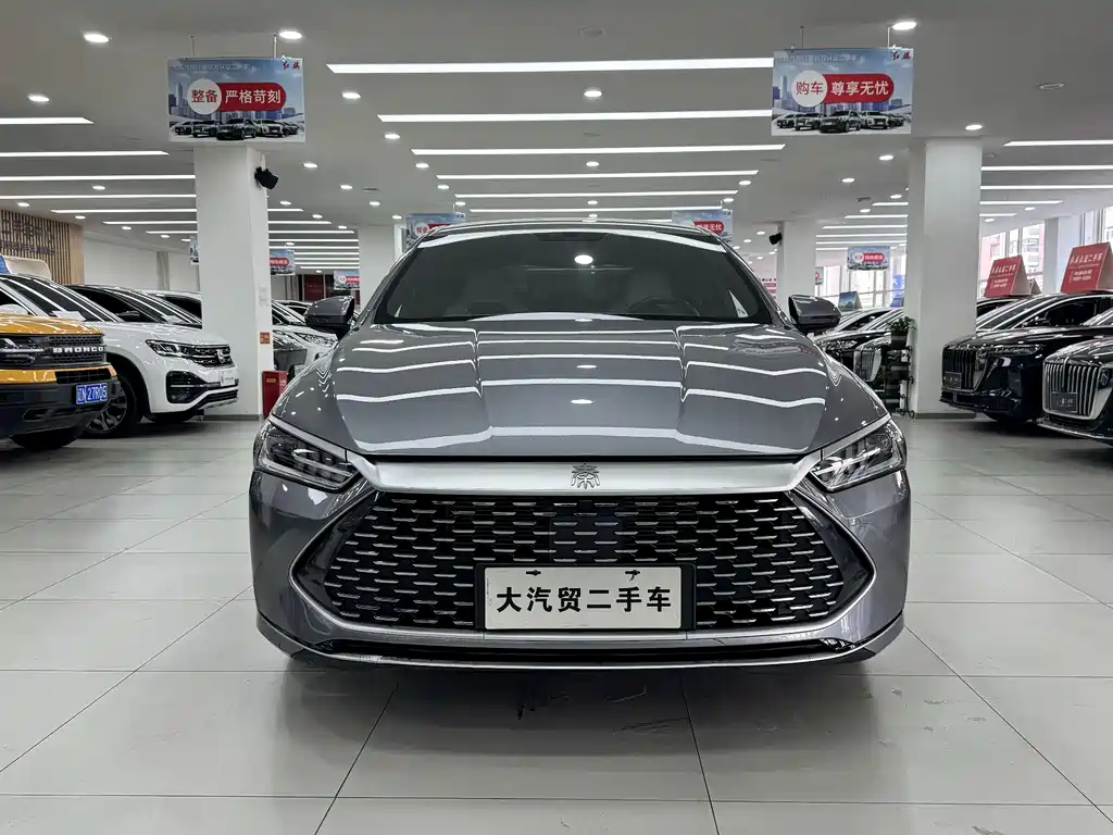 BYD Qin Plus PLUS 2024 DM-i 55KM Lead