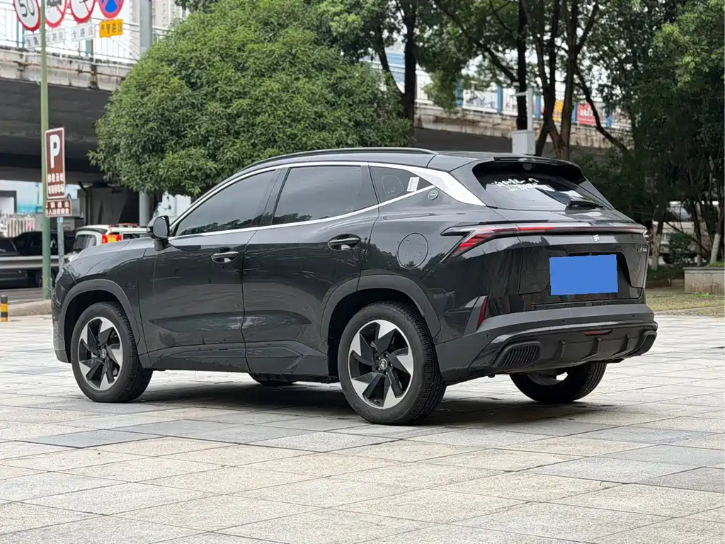 Shanhai Shanhai L6 — миниатюра 9