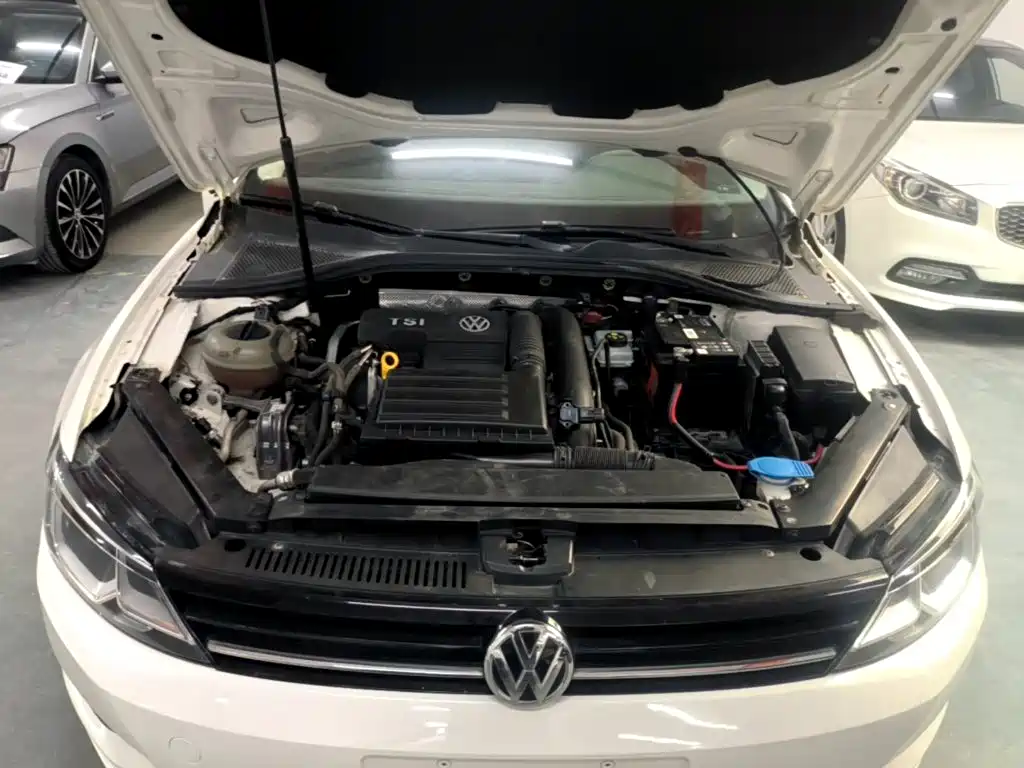 Volkswagen Lamando — миниатюра 20