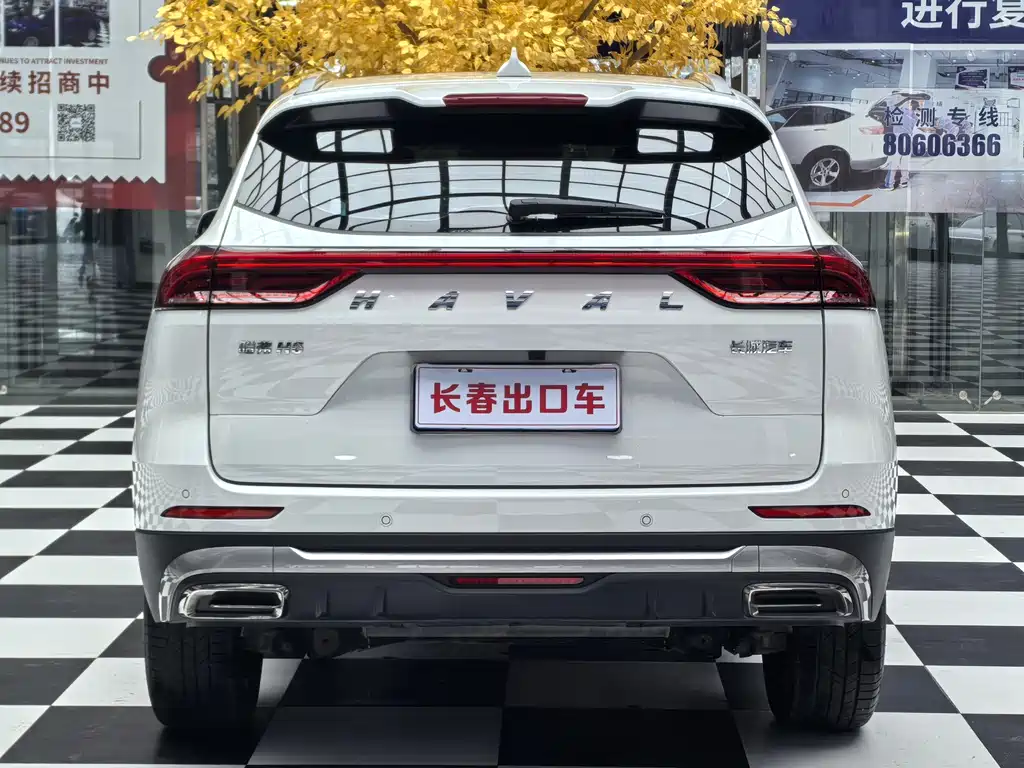 Haval H6 — миниатюра 5