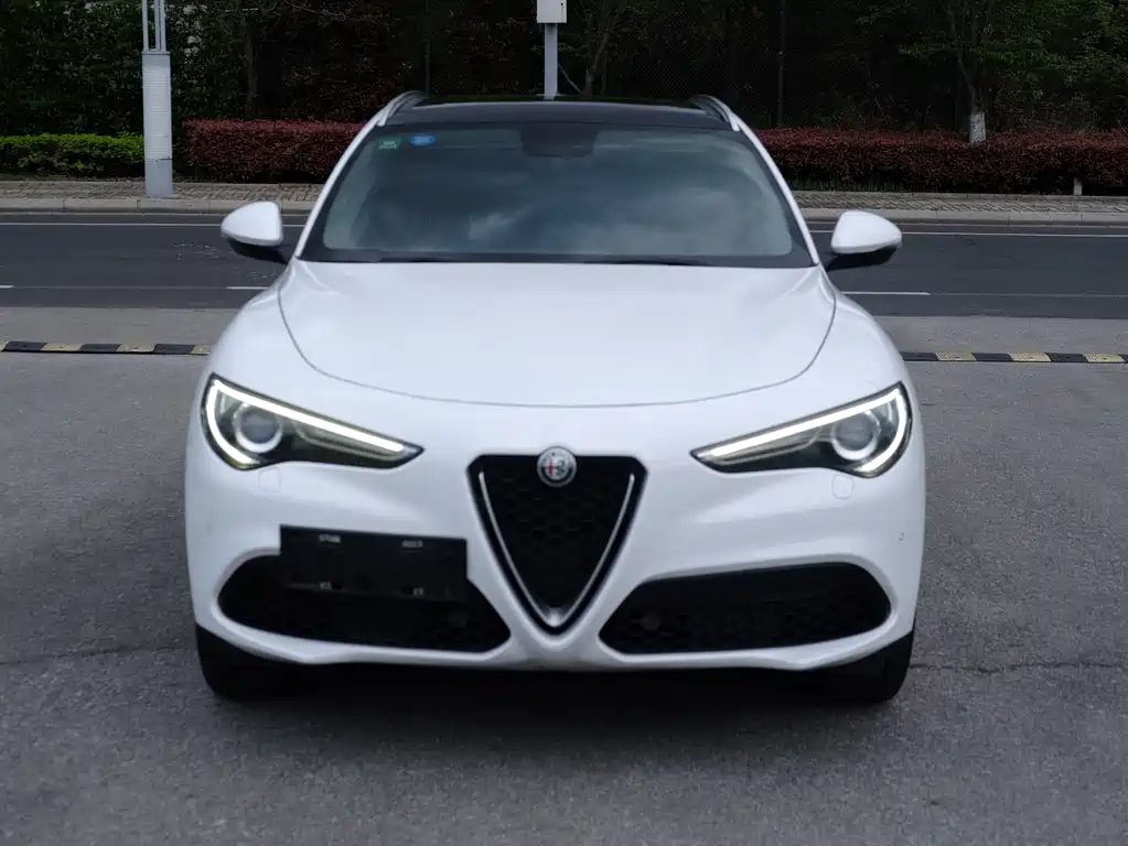 Alfa Romeo Stelvio 2.0T 200HP Luxury Edition, фото 2