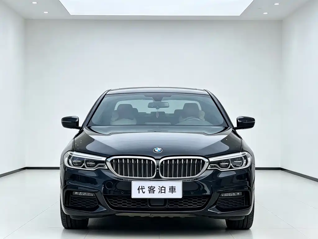 BMW 5 Series — миниатюра 2