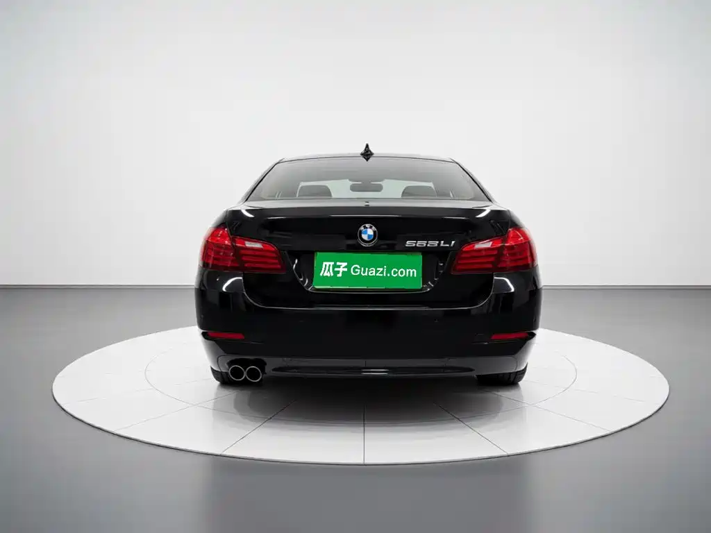 BMW 5 Series — миниатюра 5