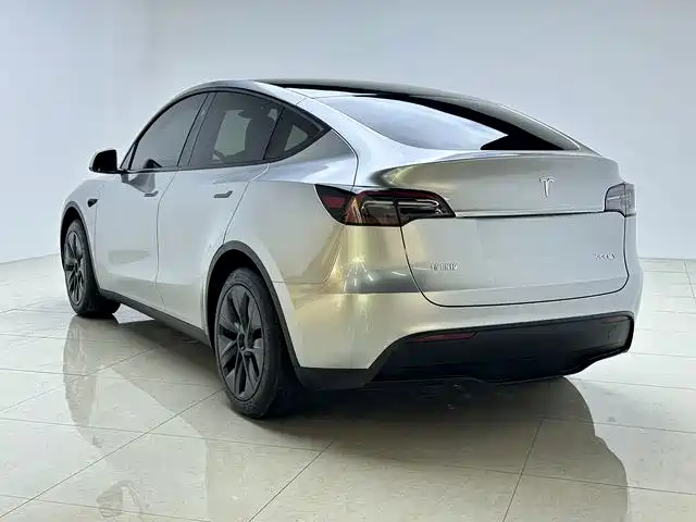 Tesla Model Y — миниатюра 5
