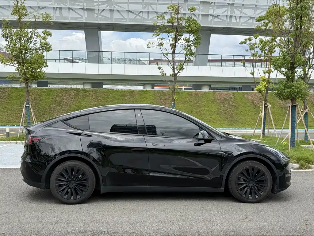 Tesla Model Y — миниатюра 11