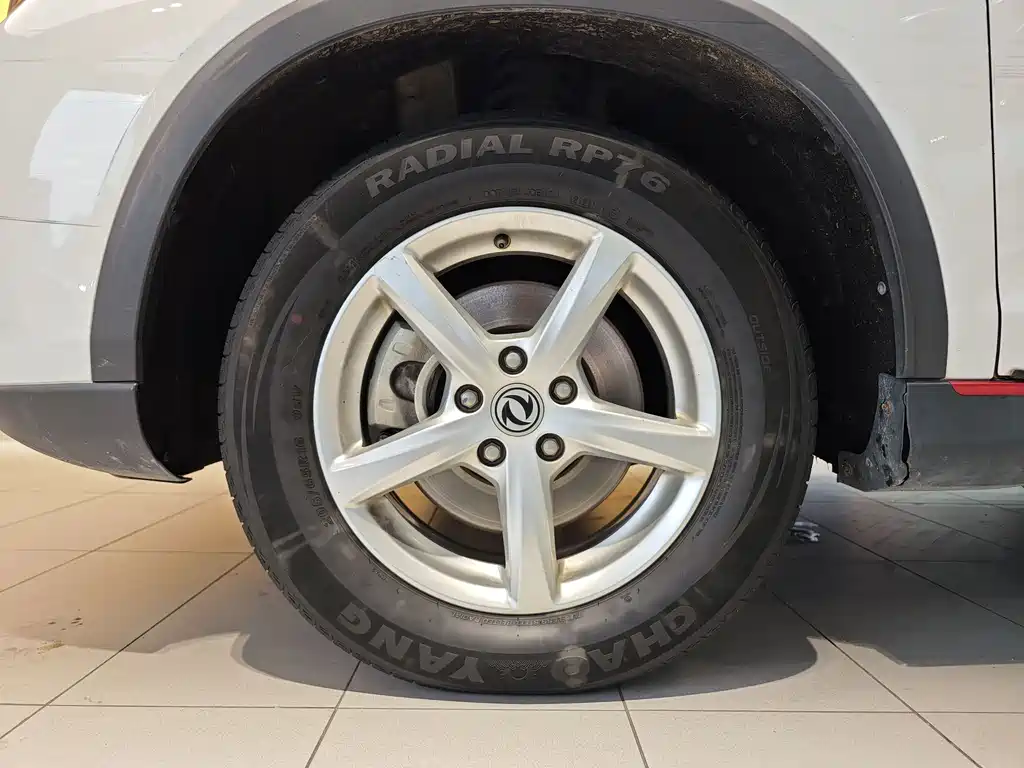 DONGFENG SCENERY 500