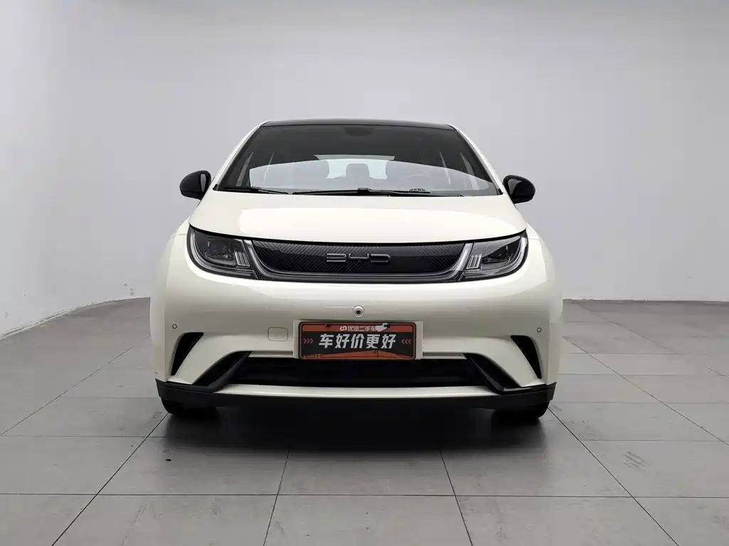BYD Dolphin — миниатюра 3