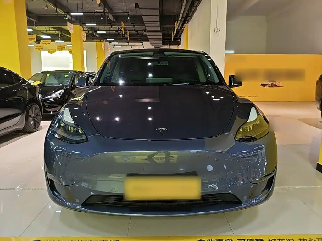 Tesla Model Y — миниатюра 3