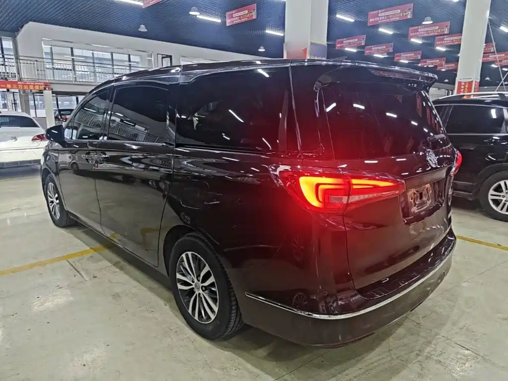 Buick GL8 — миниатюра 5