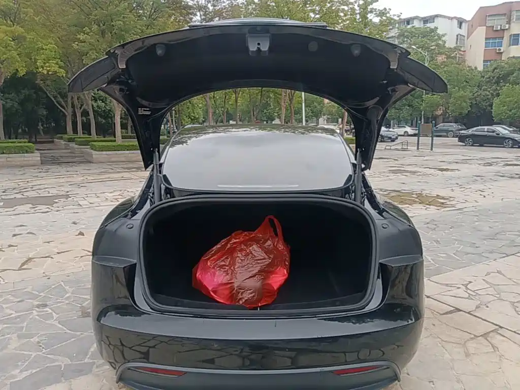 Tesla Model 3 — миниатюра 19
