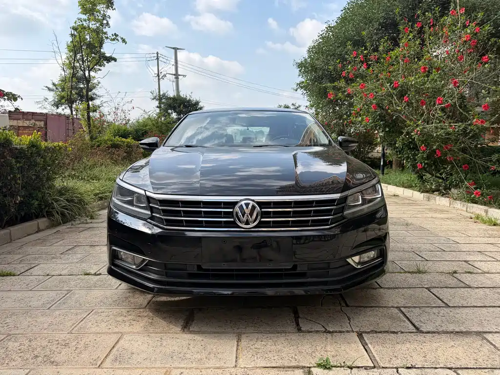 Volkswagen Passat — миниатюра 2