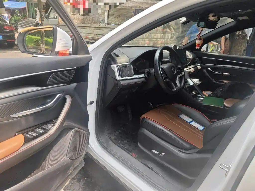 BYD PLUS — миниатюра 12