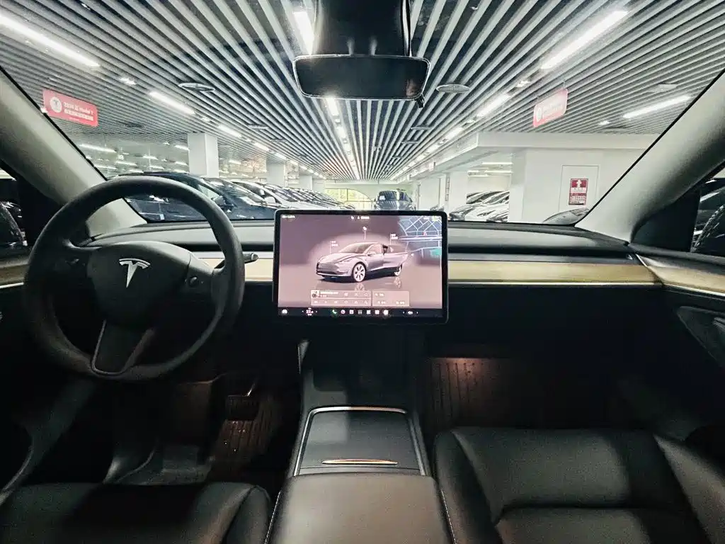 Tesla Model Y — миниатюра 7