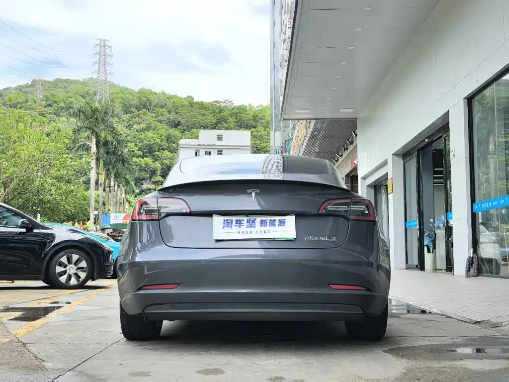 Tesla Model 3 — миниатюра 5