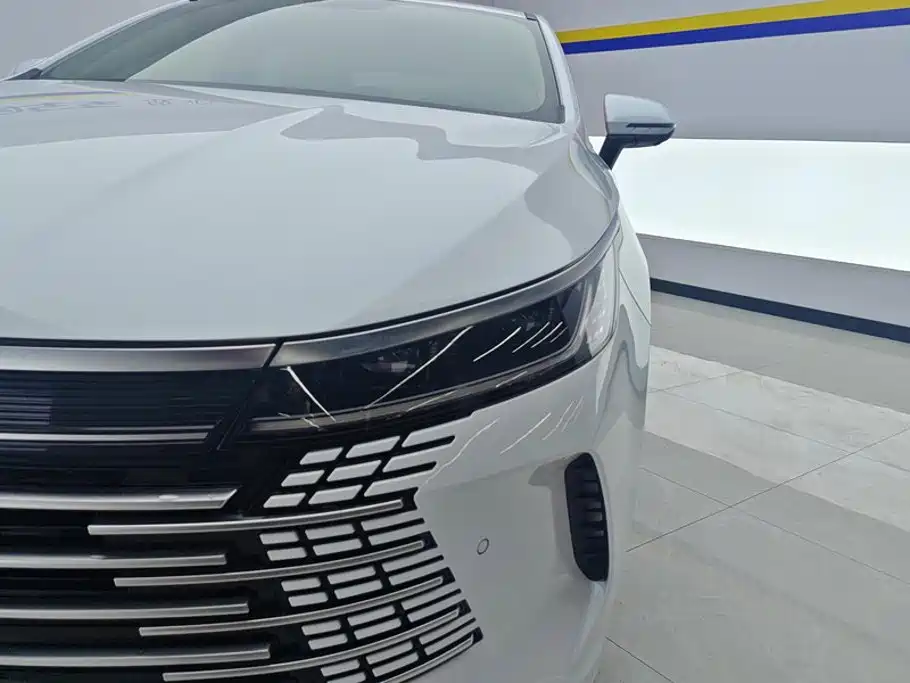 BYD Destroyer 05 — миниатюра 5
