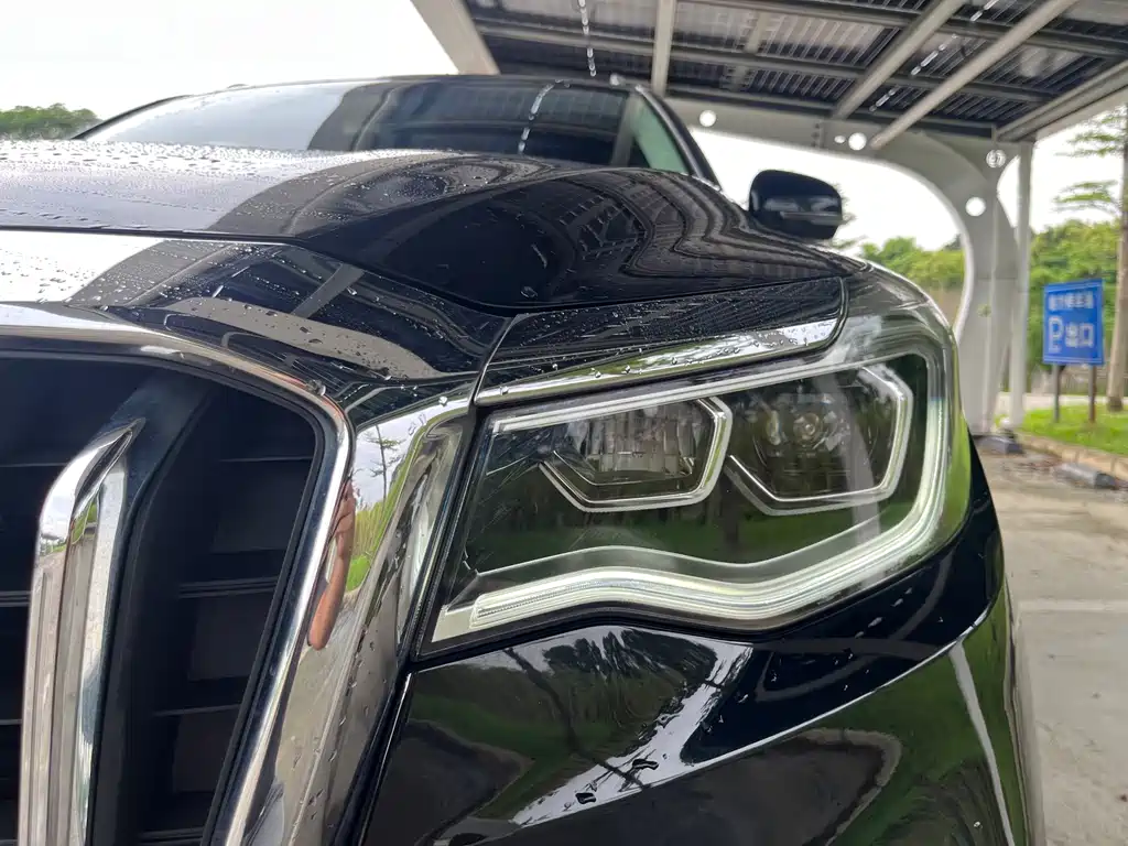 Hongqi Hongqi HS7 — миниатюра 9