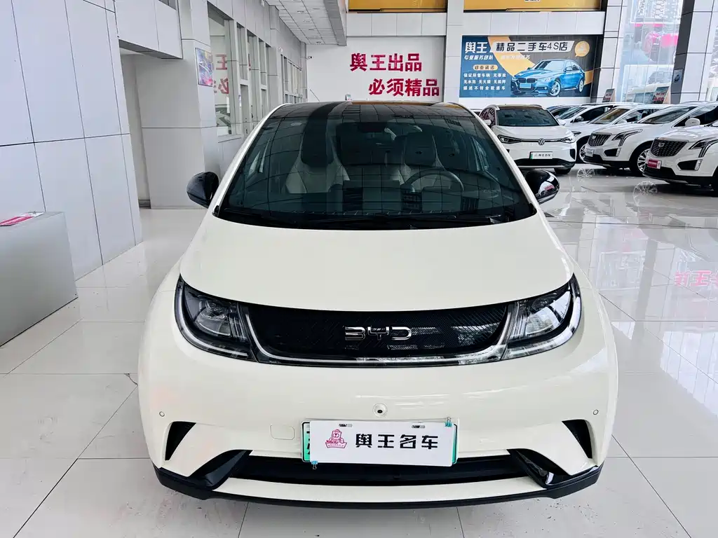 BYD Dolphin — миниатюра 6