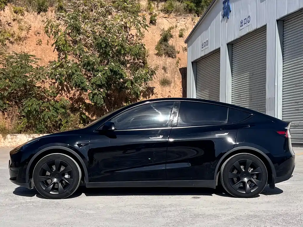 Tesla Model Y — миниатюра 7