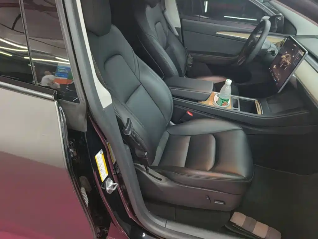 Tesla Model Y — миниатюра 25